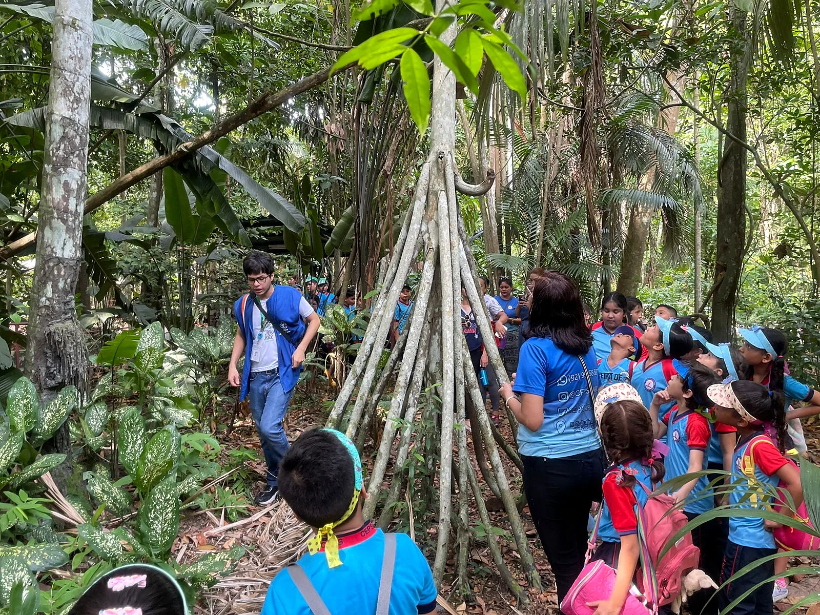 Alunos em trilha na mata durante passeio pedagógico